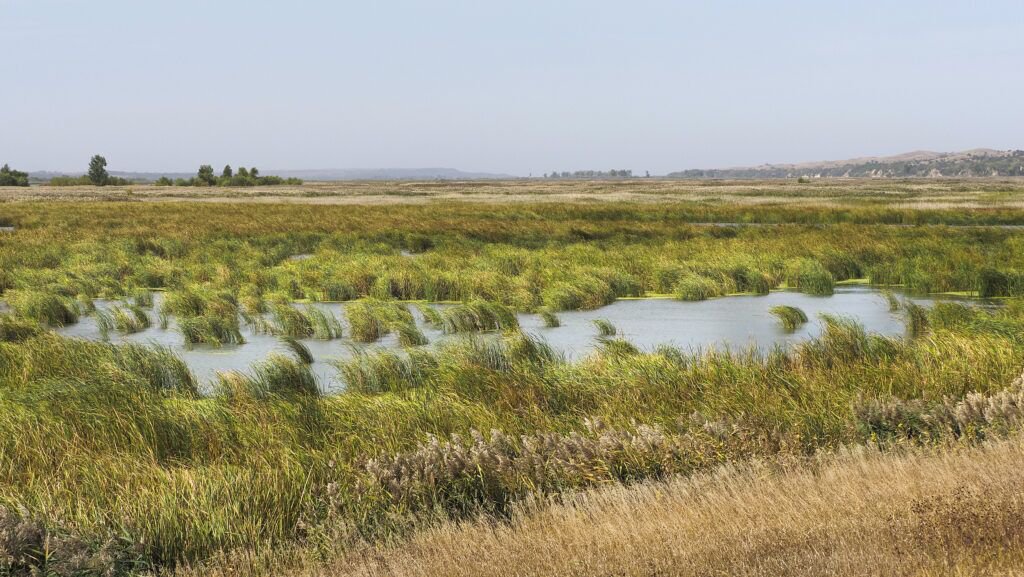 What was once farmable land on the Santee Sioux reservation is now unusable