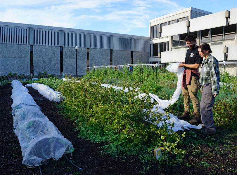 A program provides free fruits and vegetables to students and community members