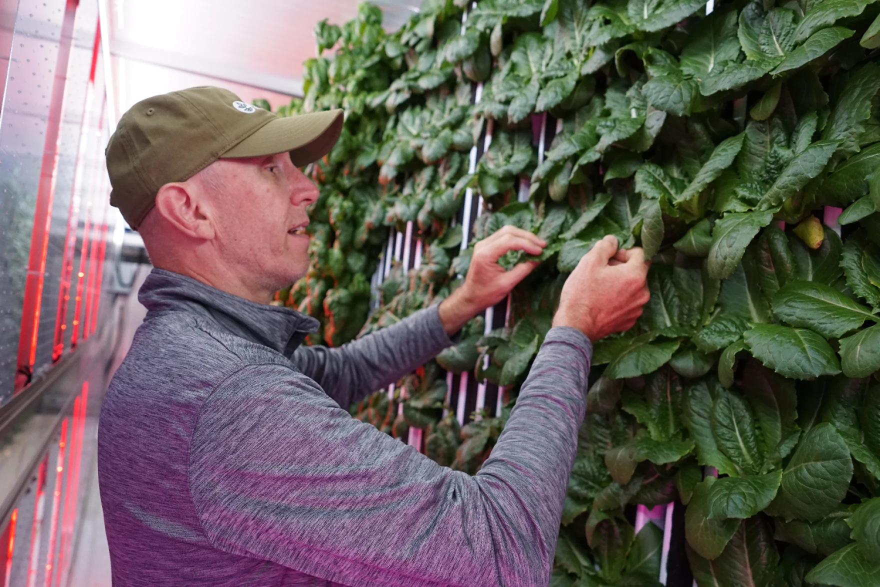 Bryan Flower looks at Romaine lettuce