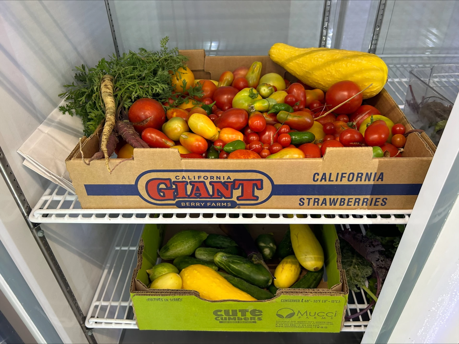 Inside the produce fridge at UMKC's pantry.