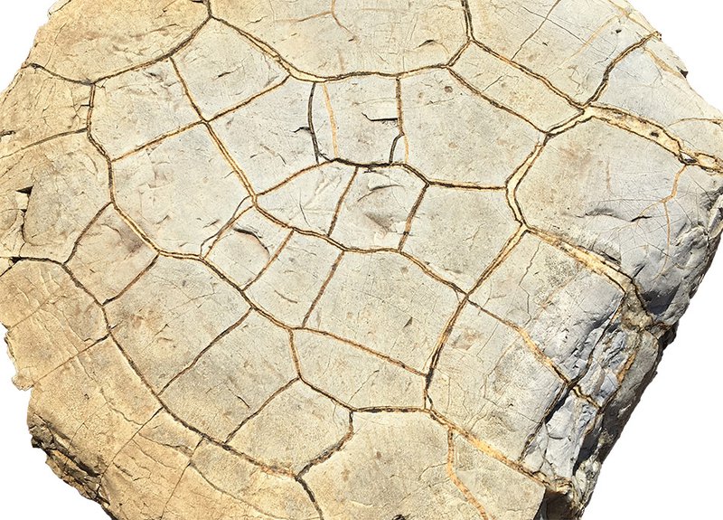 septarian concretion or nodule